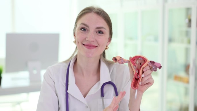 微笑的医生展示子宫解剖模型