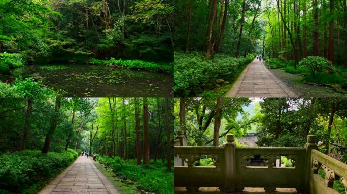 杭州虎跑公园自然人文景观