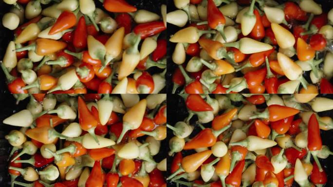 迷迭香品种的各种迷你辣椒正在水中清洗，特写镜头，慢镜头。