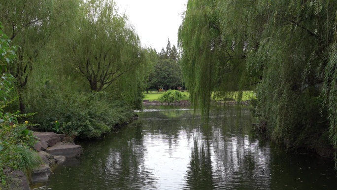 上海滨江森林公园的风景