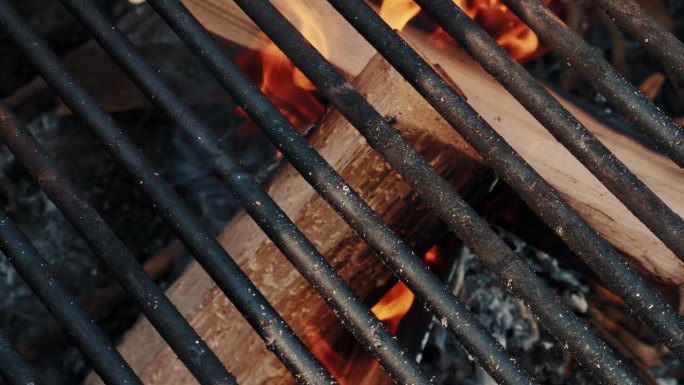 在火焰中燃烧的木头。烧烤。在烤架上燃烧柴火