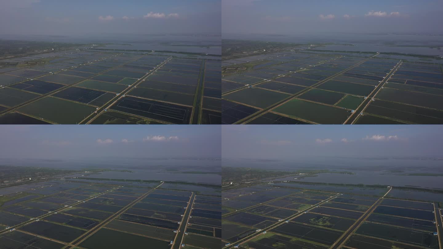 苏州 东山万亩蟹塘 蟹塘养殖 横向航拍