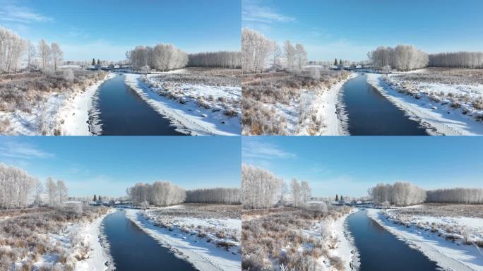 初冬扎敦河湿地雪松树挂美景