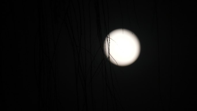 月亮 满月 圆月
