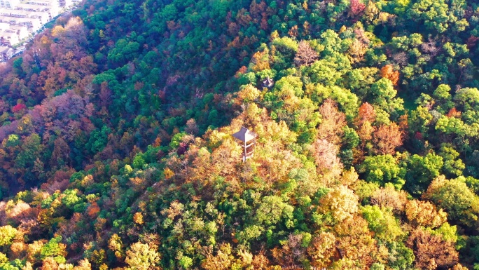 台州市椒江区，枫山沿途风光