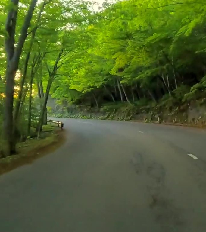 日落时沿着湖边的公路行驶