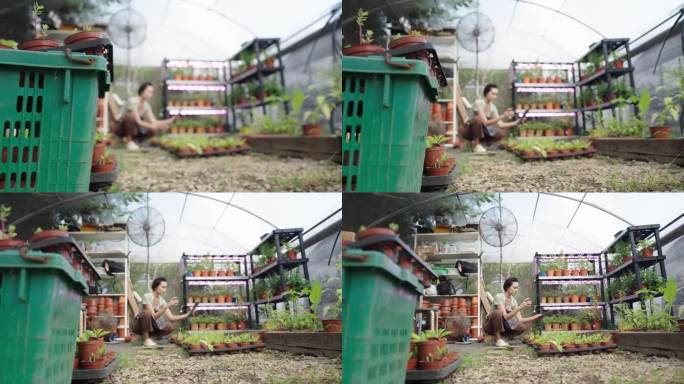 一个美丽的亚洲城市农民在一个小温室里进行质量控制检查的肖像