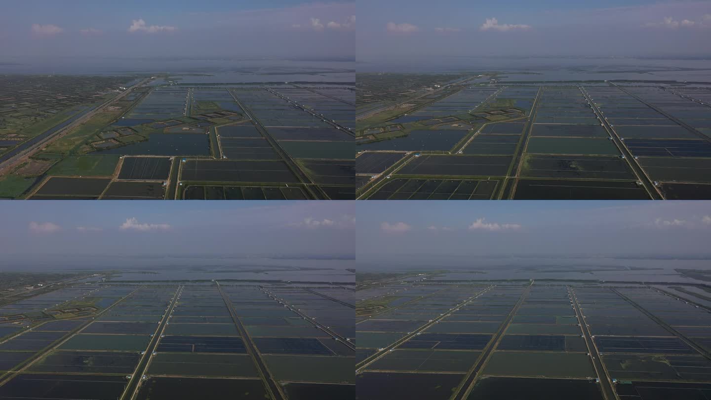 苏州东山蟹塘风景区航拍 万亩蟹塘横向航拍