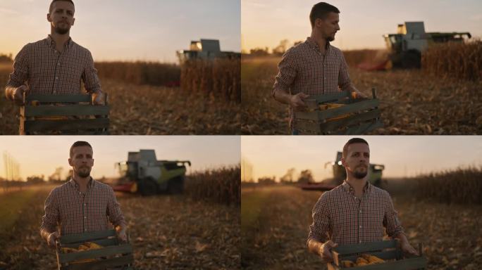 日落时分，自信的农民带着装满收获玉米的木箱走在残茬地里