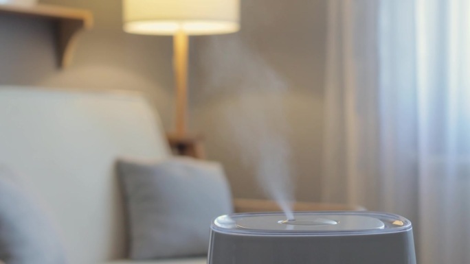 清洁系统。超声波加湿器。电离技术。空气净化器用于家庭室内客厅的空气加湿和清洁。