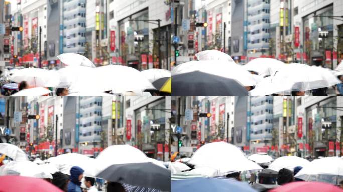 一群人打着伞在雨中行走