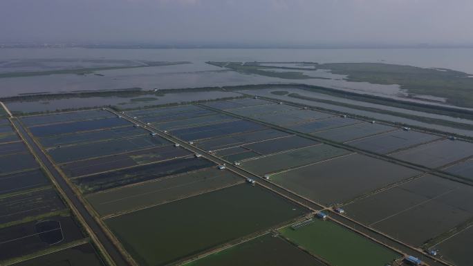 苏州 东山 万亩蟹塘 蟹塘养殖 横向航拍