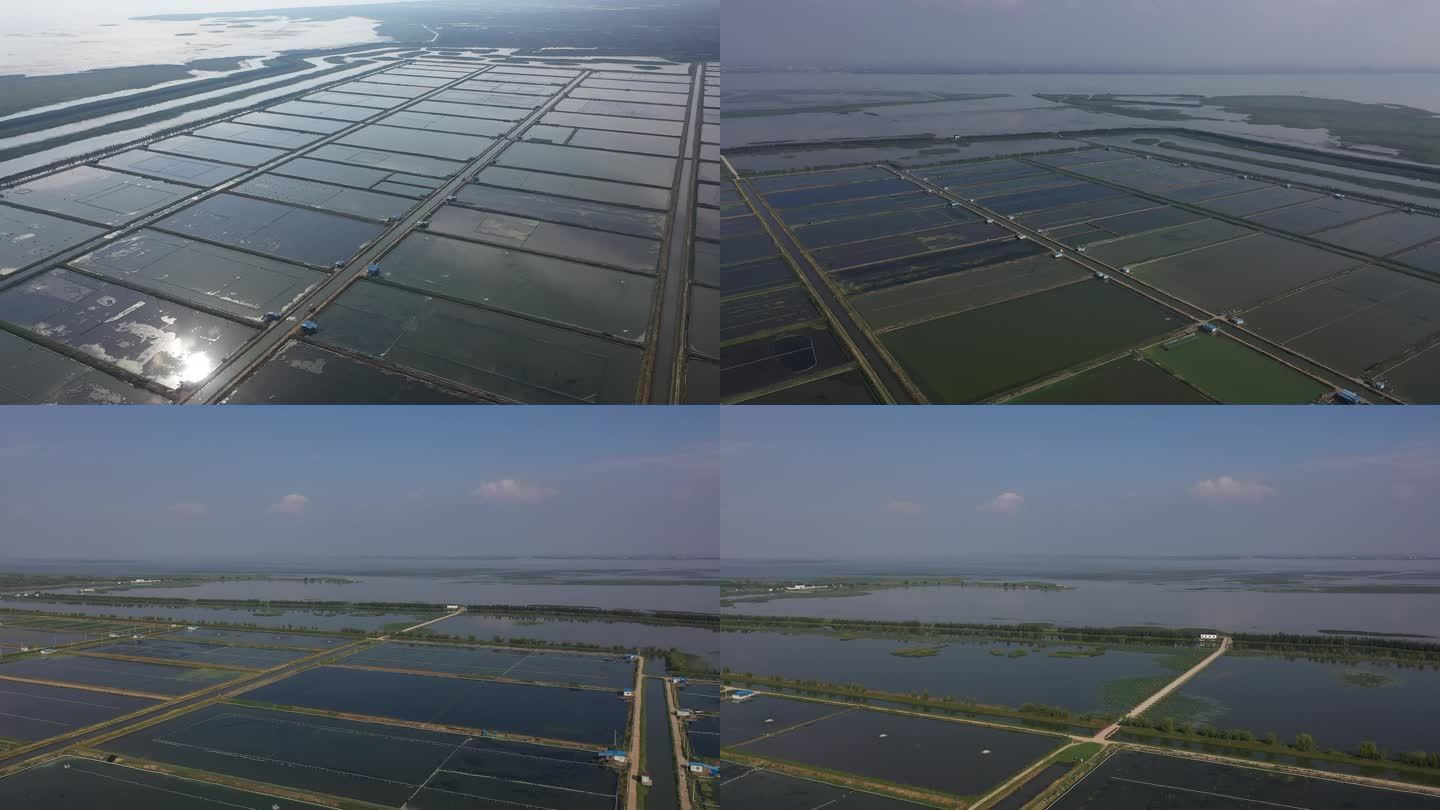 苏州 东山 万亩蟹塘 蟹塘养殖 横向航拍