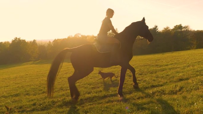 肖像，镜头光晕:微笑的年轻女士骑在一匹漂亮的棕色马的马鞍上