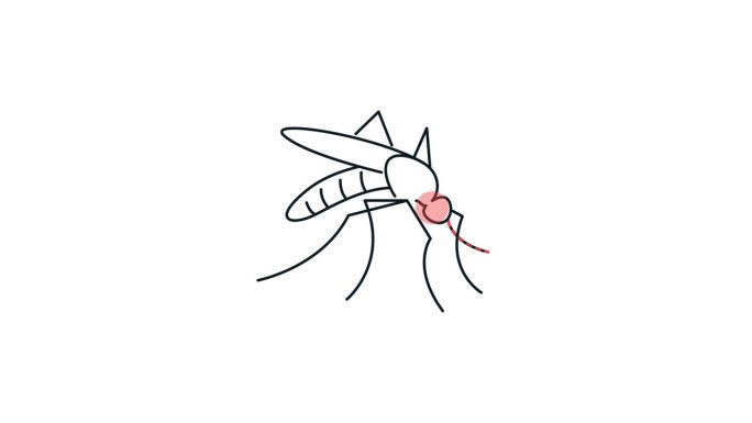 蚊子叮咬-股票动画图标为MP4文件