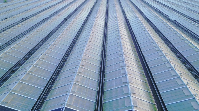 科技智慧大棚航拍乡村振兴蔬菜种植基地