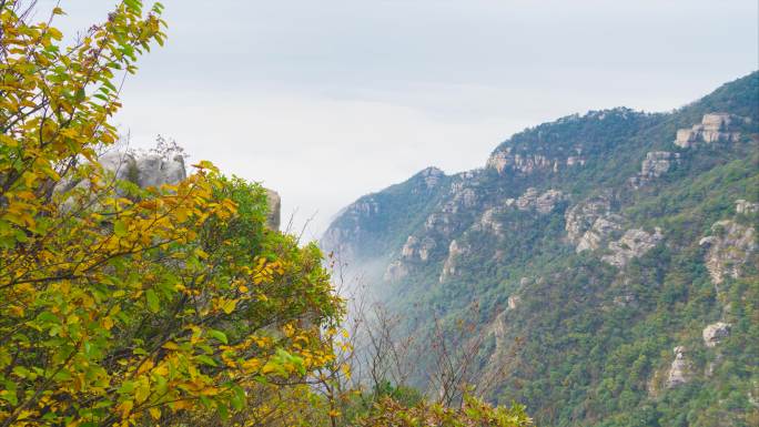 江西九江庐山地质公园深秋风光