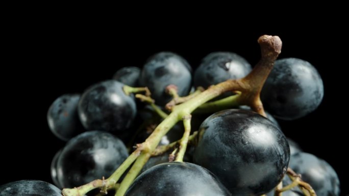 一簇黑葡萄和又大又圆的深蓝色浆果在黑色背景上旋转。多莉滑块极端特写。