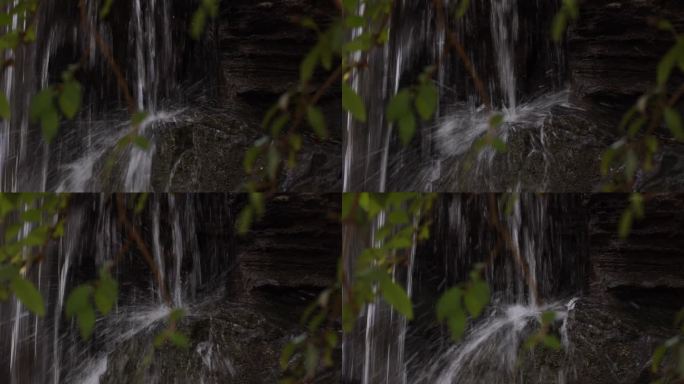 瀑布前摇曳的绿色树叶