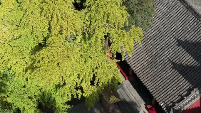 航拍郑州嵩山大法王寺