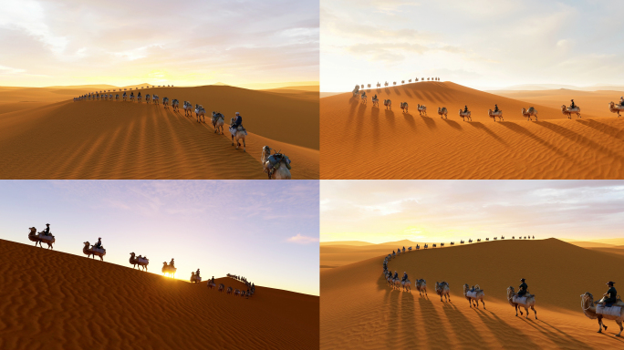 4K 沙漠骆驼 一带一路 丝绸之路