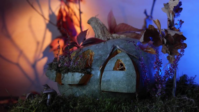 用南瓜制作美丽的秋天灯笼，精灵南瓜屋