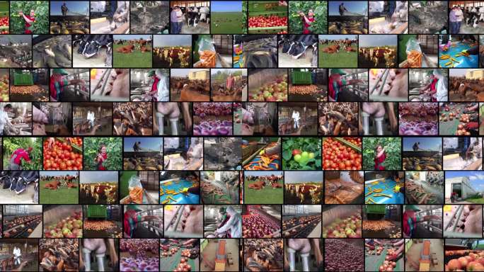农业和粮食生产-多屏幕视频蒙太奇