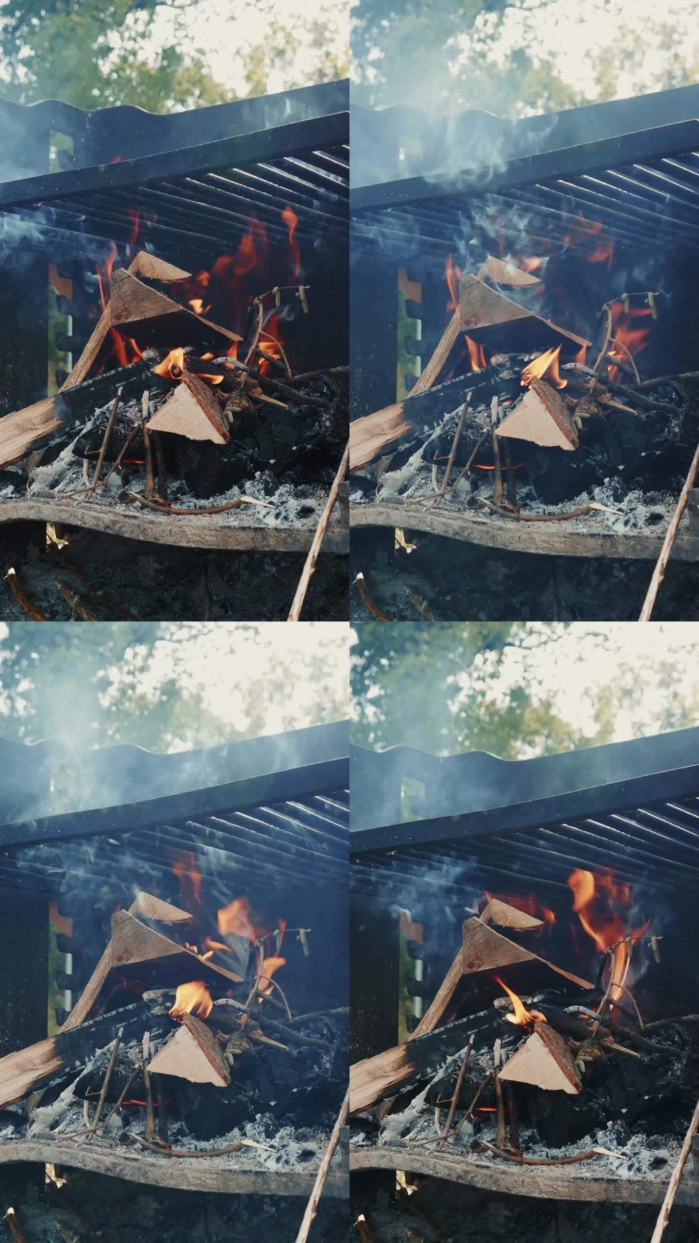 火焰中闷烧的柴火特写。在户外烧烤。垂直视频