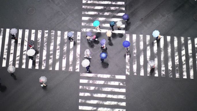 一群人打着伞在雨中行走