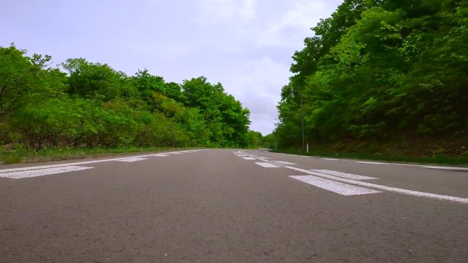 沿着美丽的春绿山路行驶