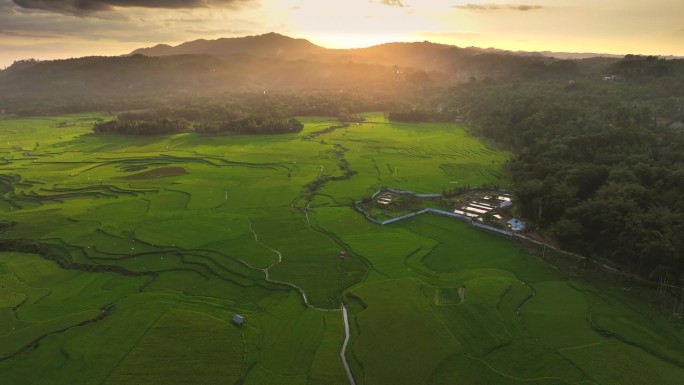 印尼西松巴岛威卡库拉稻田的无人机日落景象