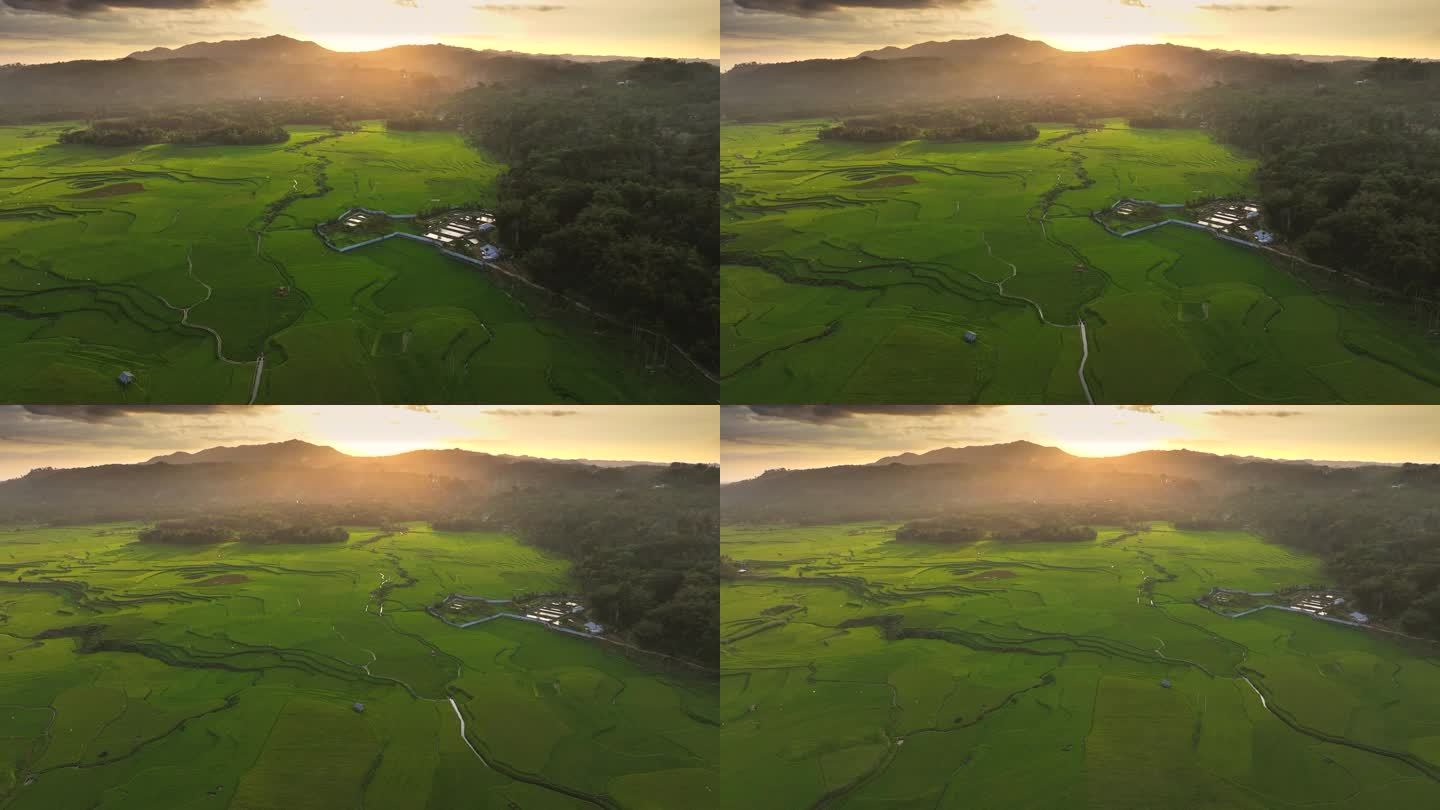 印尼西松巴岛威卡库拉稻田的无人机日落景象