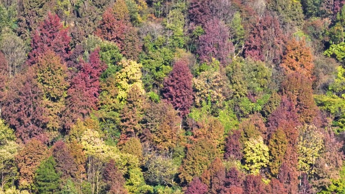 武汉木兰天池风景区深秋风光