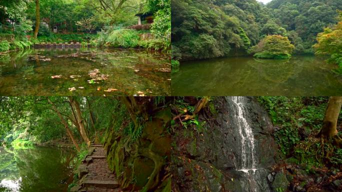 杭州九溪烟树景区山水风光