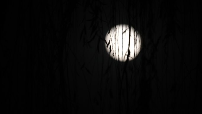 月亮 满月 圆月