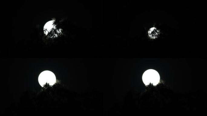 月夜实拍月黑风高