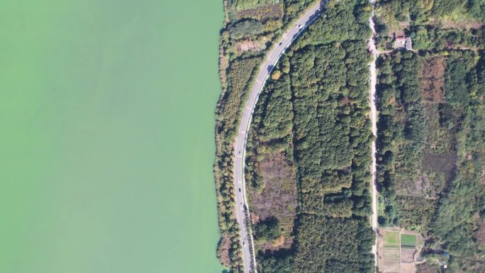 汽车在森林和湖边的鸟瞰图。中国江苏省苏州市杨澄湖沿岛公路之旅的高视角，4K实时视频无人机视图。