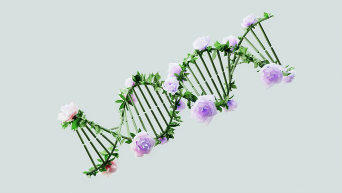 植物DNA渲染动画