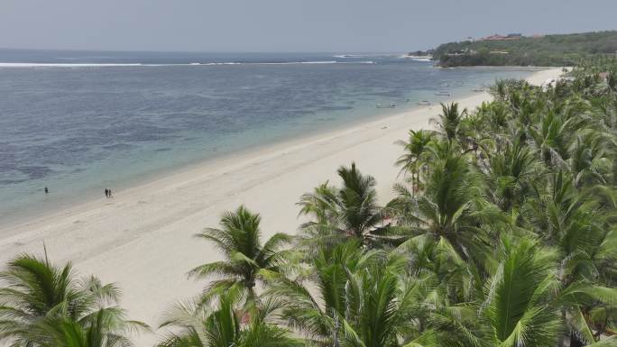 HDR印尼巴厘岛努沙杜瓦海滨棕榈自然风光