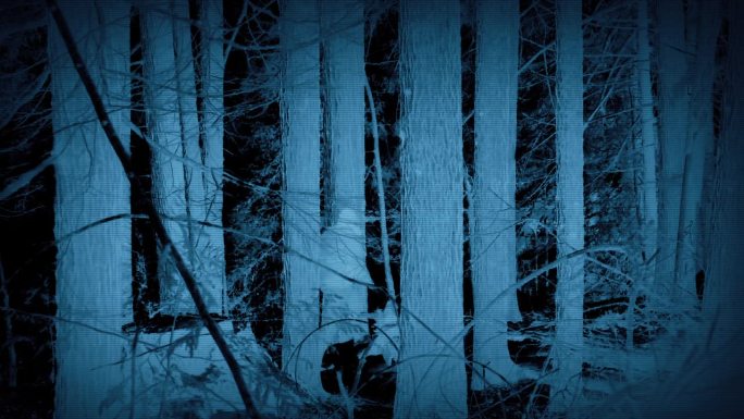 匿名男子穿过森林-警察法医学概念
