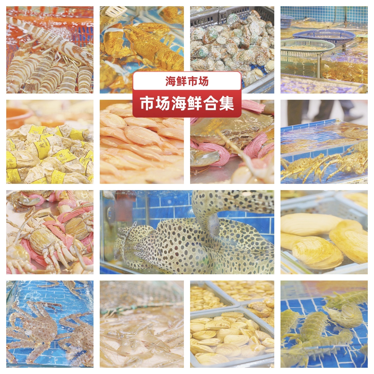 海鲜市场生蚝鳗鱼龙虾大闸蟹龙虾各类海鲜
