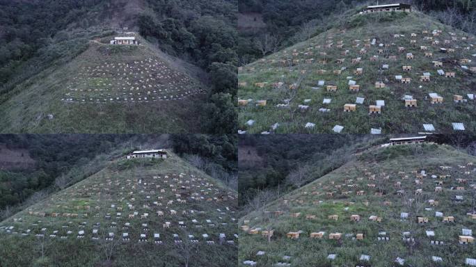 少数民族山中养蜂基地航拍