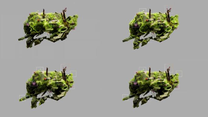 3D植物渲染视频