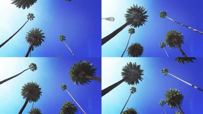开车穿过贝弗利大道。加州洛杉矶。棕榈树映衬着夏日的蓝天。美国。