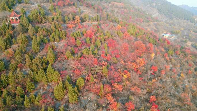 【合集】山东枣庄峄城仙人洞景区冬季美景