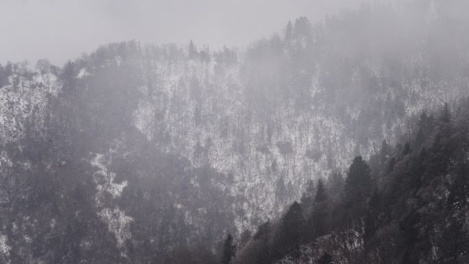 陕西秦岭朝阳沟雪景