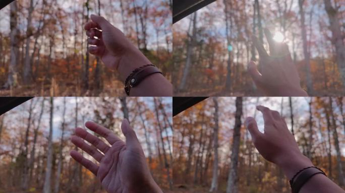 车窗飘过秋天，秋天的叶子，美丽的树叶，充满活力的颜色和早晨的阳光慢动作