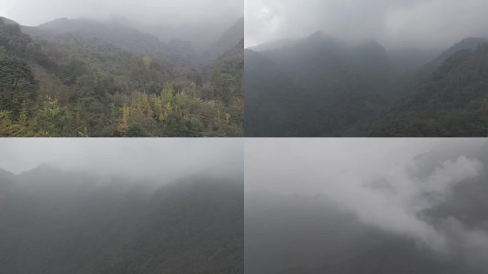 【4K】云雾缭绕的山间素材
