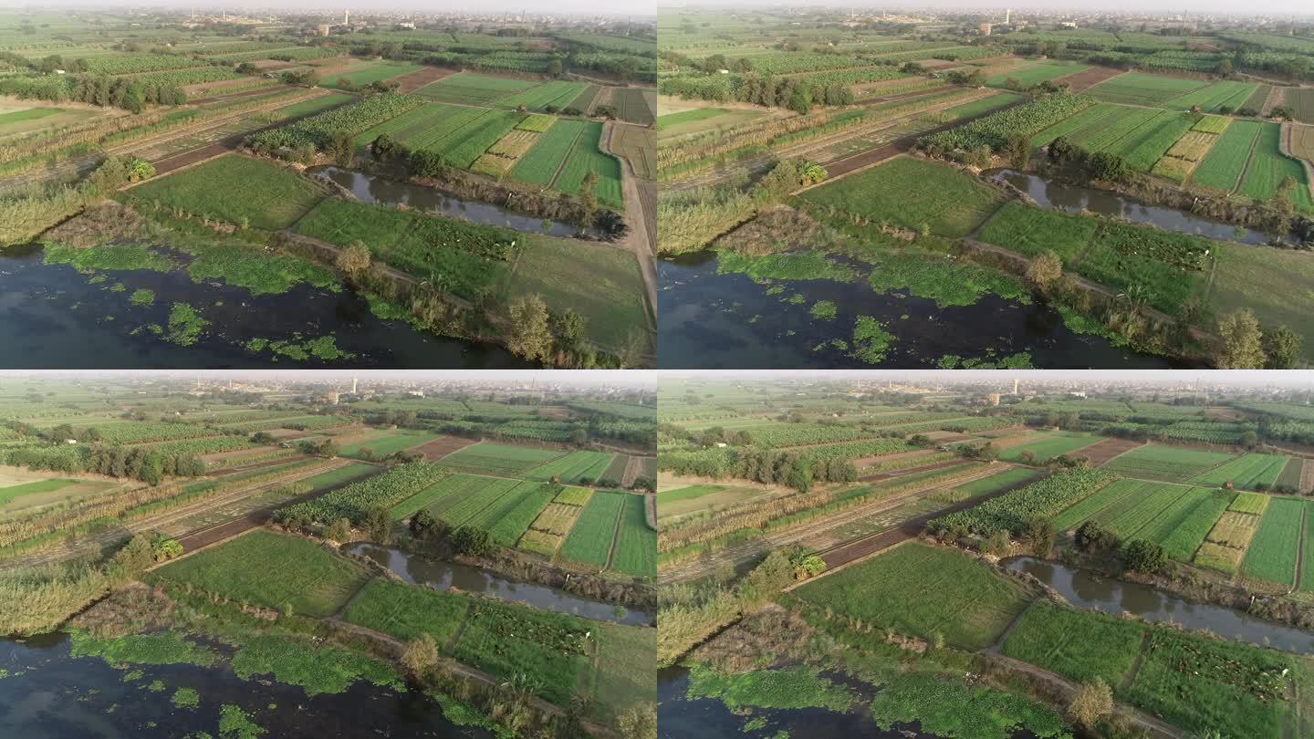空中拍摄的埃及尼罗河在开罗被尼罗河流域的绿色土地包围，旁边的吉萨和埃及北部的三角洲