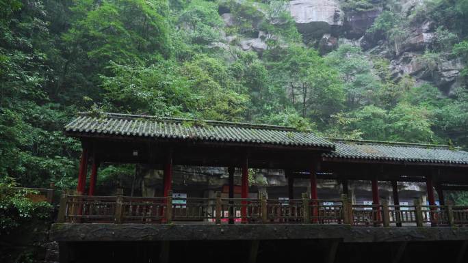 雅安碧峰峡峡谷风景